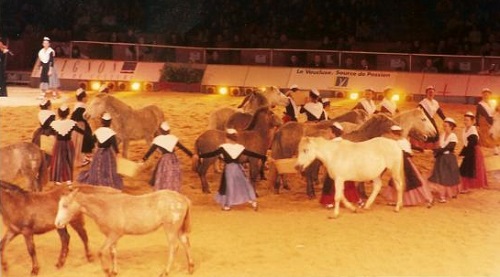 spectacle-avec-les-juments