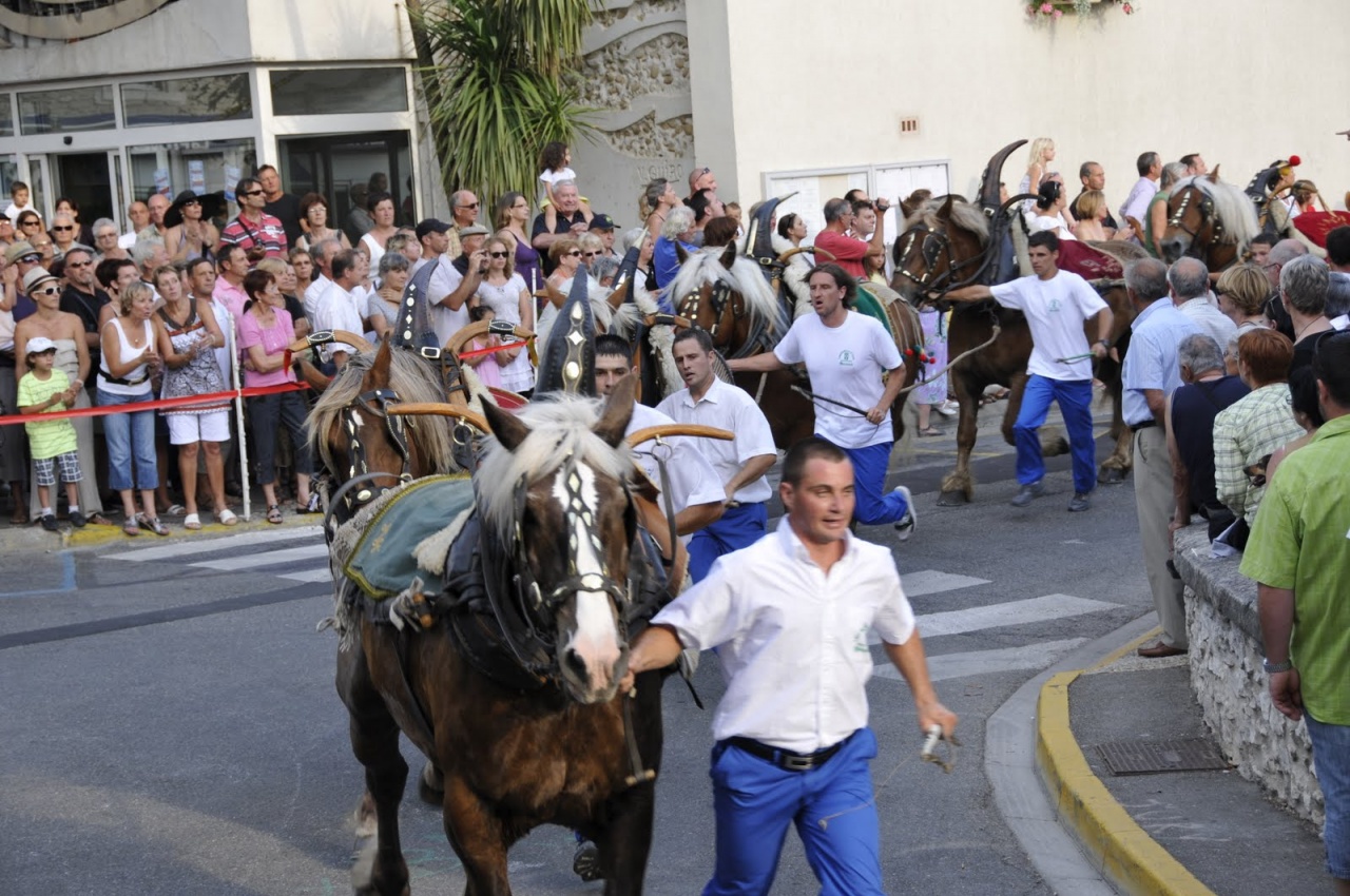 St Eloi Rognonas avec Chazemais 2011