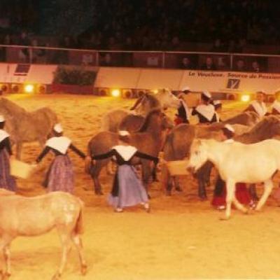 Cheval Passion Numériser0028.jpg