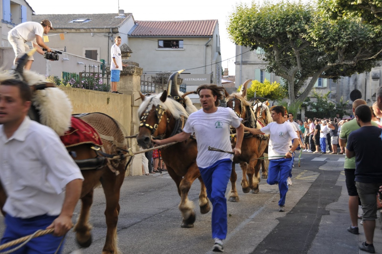 St Eloi Rognonas avec Chazemais 2011