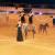 LE RUBAN A CHEVAL PASSION