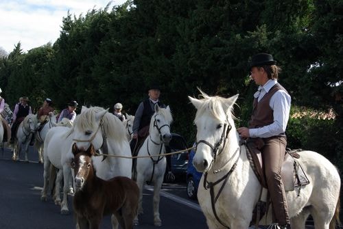 Acampado rognonas nacioun gardiano 23 