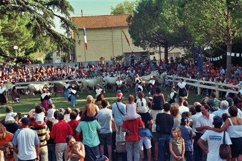 Montfavet fetes des foins 1 