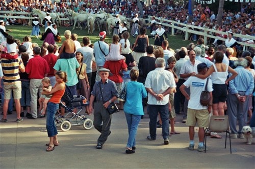 Montfavet fetes des foins 2 