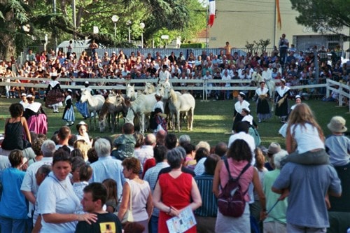 Montfavet fetes des foins 4 