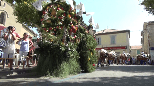 Rognonas saint roch 2012 26 