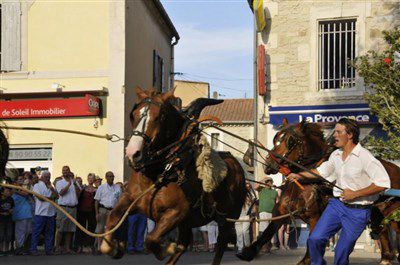 St eloi rognonas avec chazemais 3 