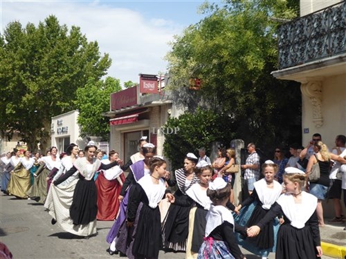 St eloi rognonas et les fardelets du forez 44 