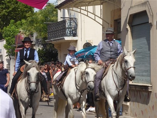 St eloi rognonas et les fardelets du forez 55 